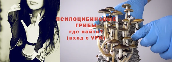 дмт Алзамай