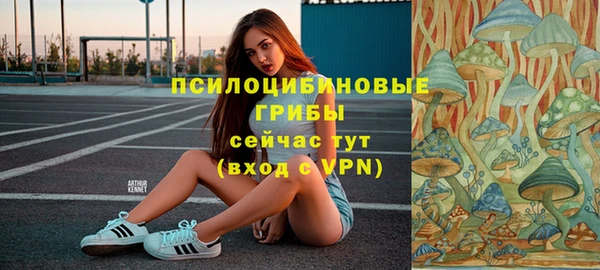 дмт Алзамай