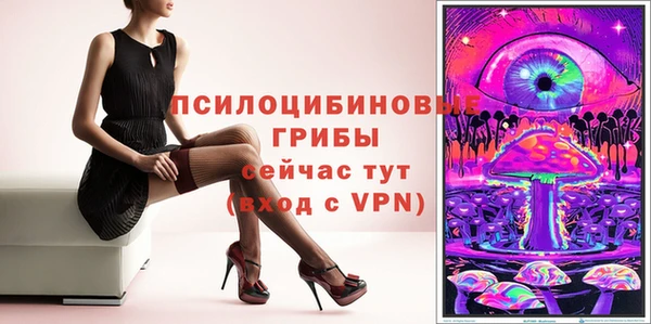 дмт Алзамай