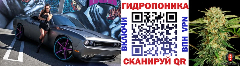 Канабис сатива  Десногорск 